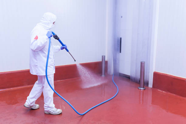 Best Roof Washing  in Tillamook, OR